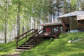 Villa Vonkale Äänekoski